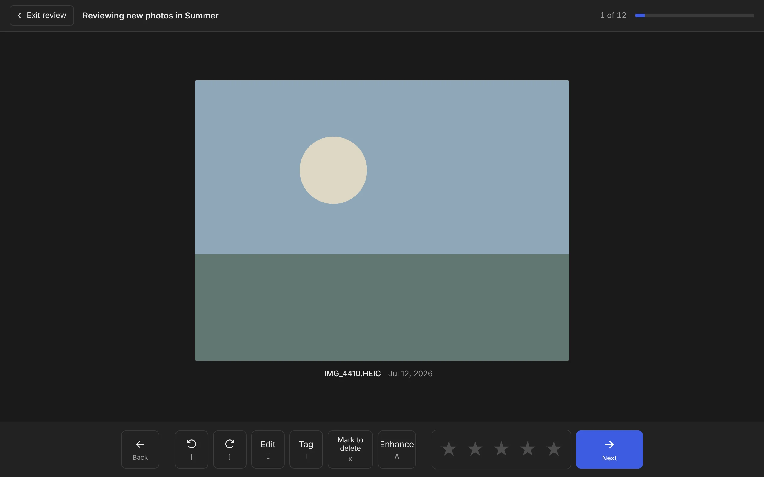 The styled Review screen in dark mode: one large photo with large action buttons underneath and a blue Next button.